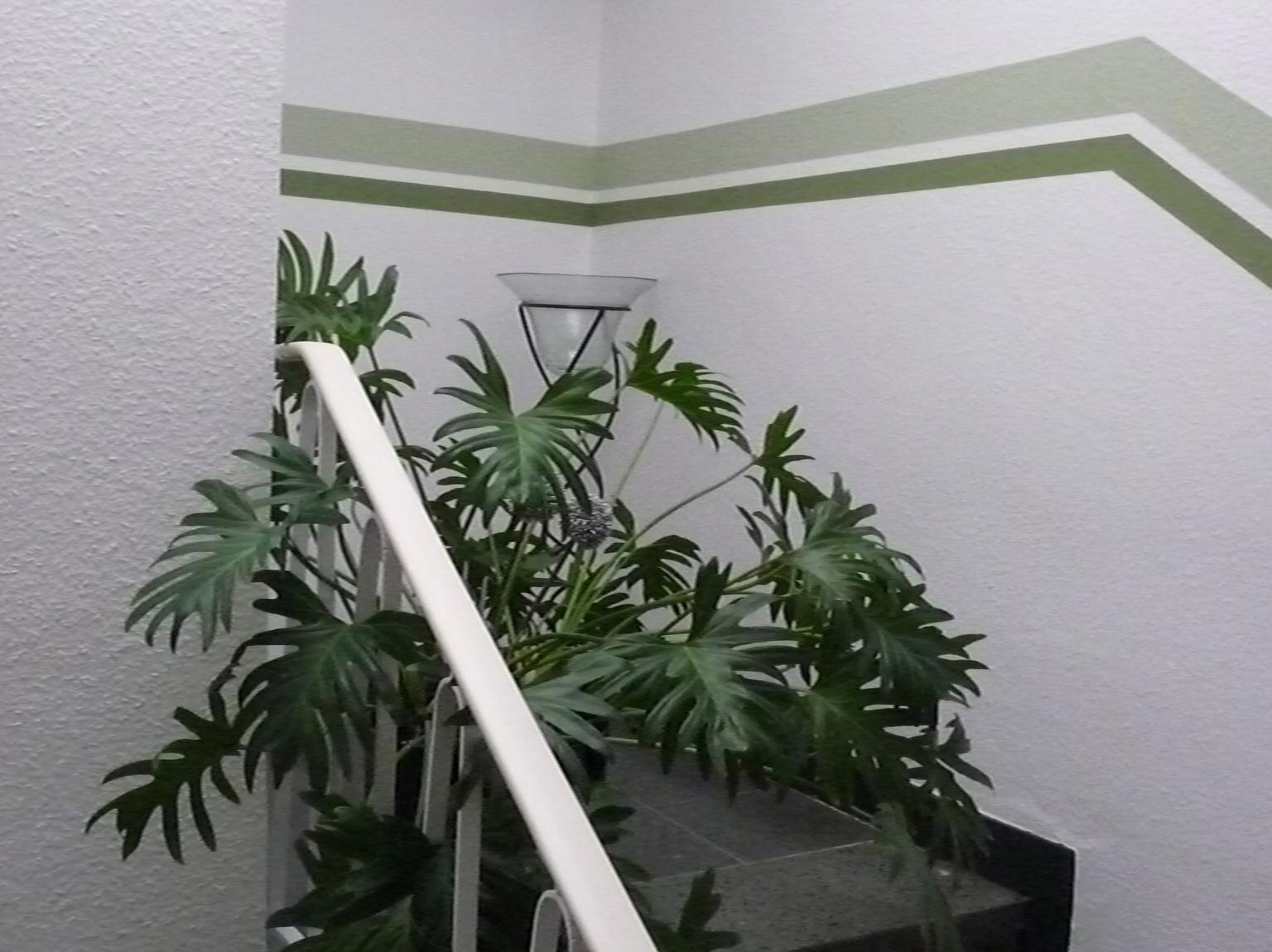 Hotel Sechzehn Leverkusen Esterno foto
